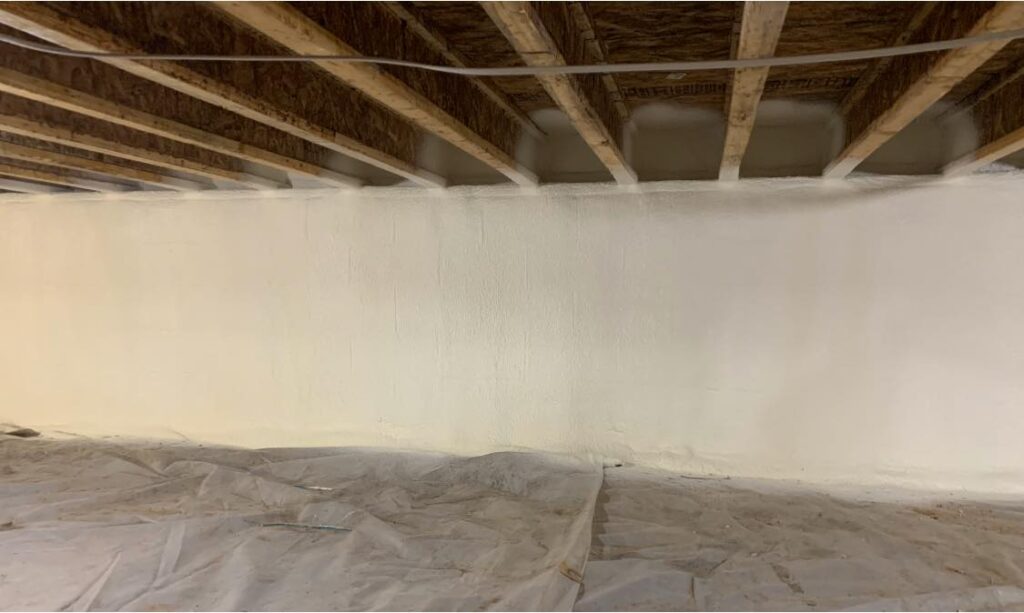Mold Remediation